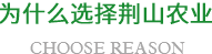 为什么选择荆山农业-蔬菜配送|蔬菜配送公司|食堂蔬菜配送|农产品配送