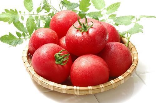 精品红番茄